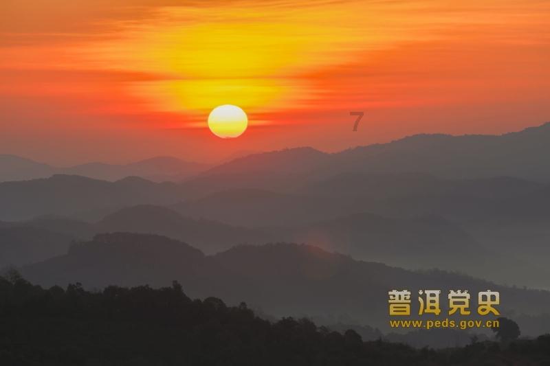 逃离奇异森林