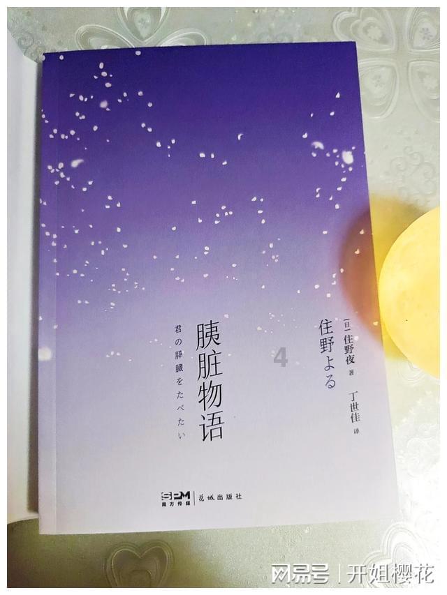 救援摄影师男孩