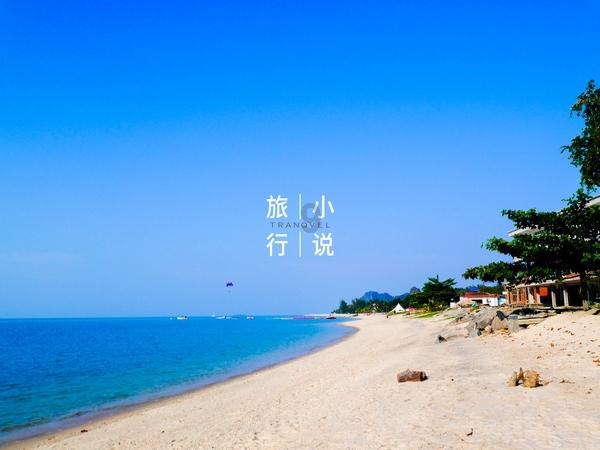 燃烧吧大脑免广告最新版